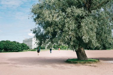 Şehir parkında büyük bir söğüt ağacı.