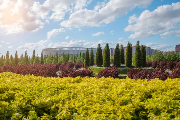 El paisaje de Krasnodar Park con una vista de los coloridos jardines de los árboles. — Foto de Stock