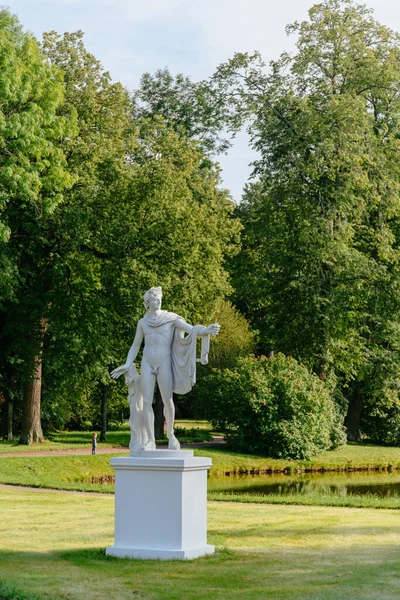 Marmeren sculptuur Apollo Belvedere in Paleis en parkensemble Oranienbaum. — Stockfoto