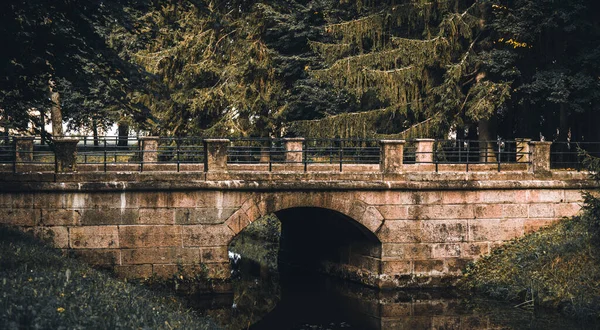 Paisagem sombria com uma velha passarela de pedra. — Fotografia de Stock