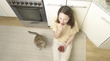 Kedi çilek koklar.