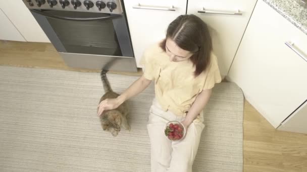 Mujer acariciando a un gato y comiendo una baya — Vídeo de stock