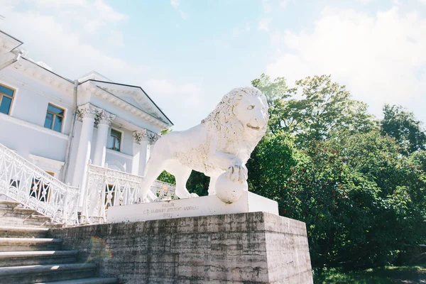 Estatua de un león blanco cerca de la entrada principal al Palacio de Elagin. —  Fotos de Stock