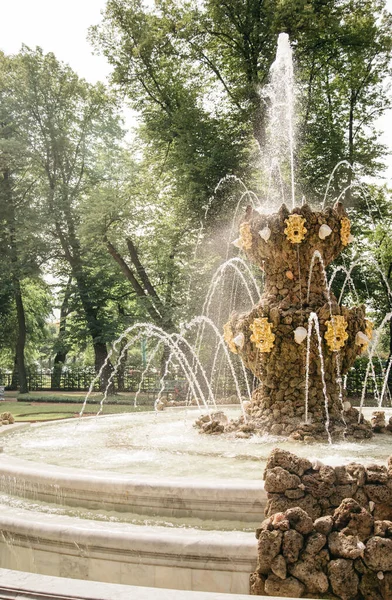 La corona de la fuente en el jardín de verano en un día soleado de verano sin gente. —  Fotos de Stock