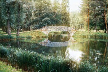 Gatchina Parkı 'nda nehrin üzerinde köprüsü olan yaz manzarası.