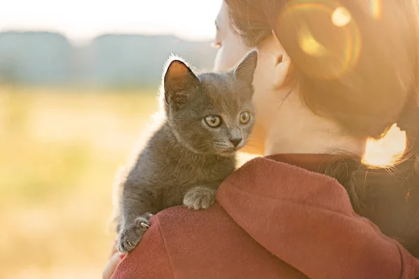 Cute kitten sits on a womans shoulder. — Stock Photo, Image