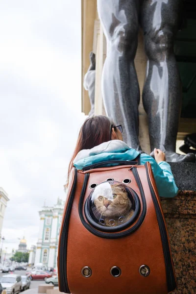 Chat voyageur dans un sac à dos admire la vue sur la ville de Saint-Pétersbourg avec son propriétaire. — Photo