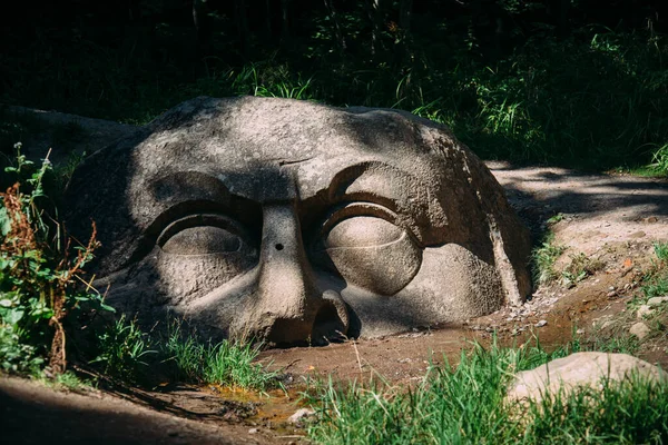 Baş, bilinmeyen bir ustanın heykeli. Muhtemelen 18. yüzyılın sonlarında, 19. yüzyılın başlarında yaratıldı.. — Stok fotoğraf