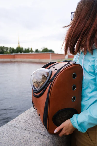 Curious cat in a backpack with a porthole outdoors.