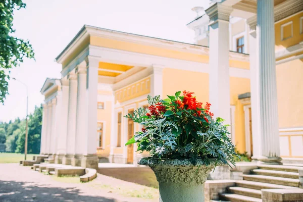 A flowerpot with red flowers near a historic building. — Stok fotoğraf