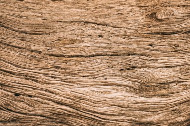 Texture of weathered tree trunk.