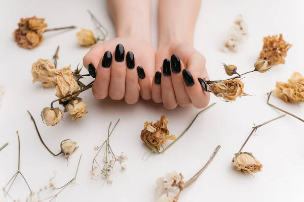 Vrouwelijke handen met zwarte manicure met droge rozen. — Stockfoto