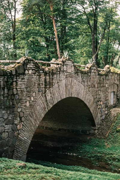 Ponte de pedra velha bonita no parque de verão. — Fotografia de Stock