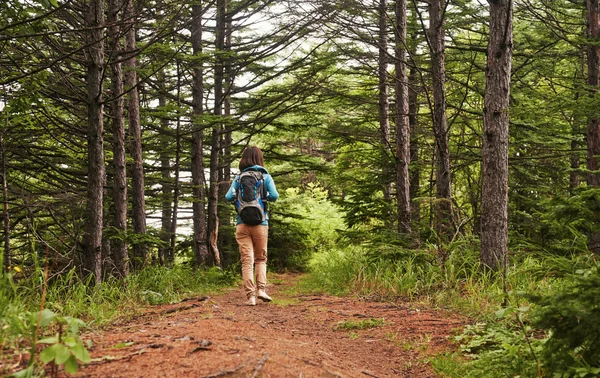Hiker woman walking on path — Stock Photo, Image