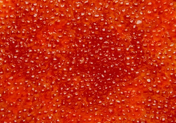 Caviar vermelho — Fotografia de Stock