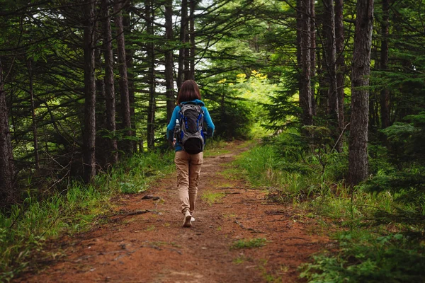 Caminhante caminhando no caminho da floresta — Fotografia de Stock