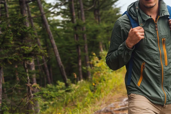 Hiker man walking in summer forest — Stock Photo, Image