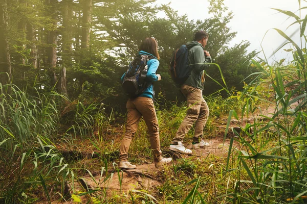 Pareja de excursionistas —  Fotos de Stock