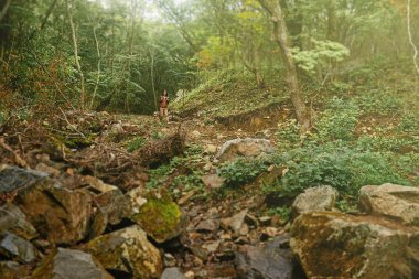 Orman kadında uzun yürüyüşe çıkan kimse