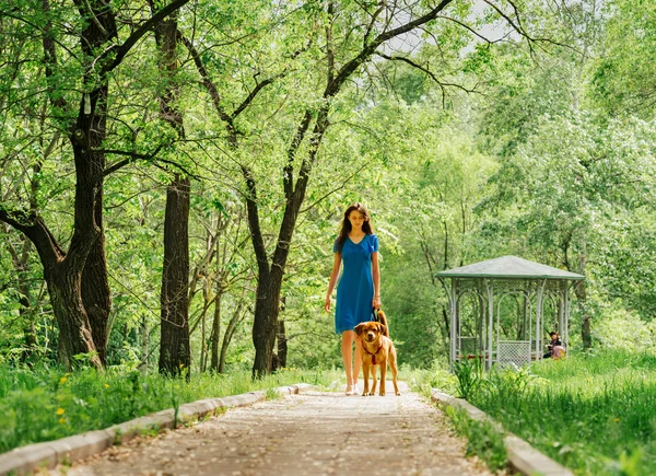 Hermosa mujer con labrador en parque — Foto de Stock