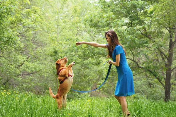 Beautiful woman with labrador in park — Stock Photo, Image