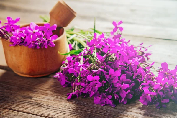 Willow-herb flowers in mortar — Stock Photo, Image