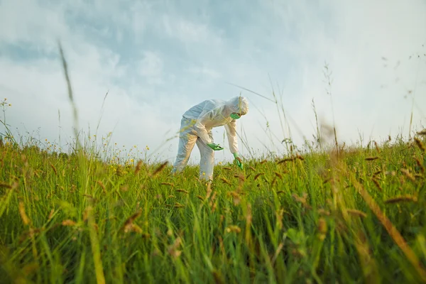 Scientifique en uniforme analysant l'herbe — Photo