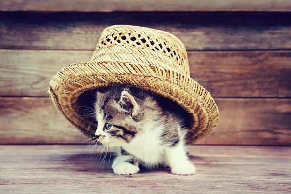 Lilla kattunge med flätade hatt — Stockfoto