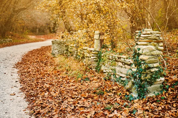 Stare kamienne ogrodzenie parku — Zdjęcie stockowe