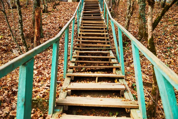 Старая деревянная лестница — стоковое фото