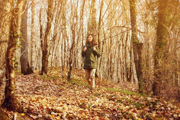 Caminhante mulher andando na floresta — Fotografia de Stock