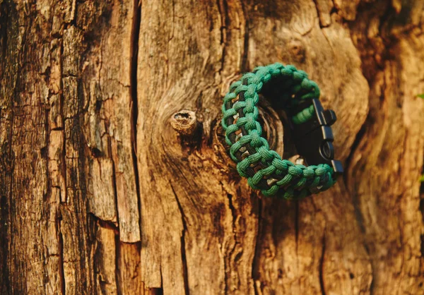Bracelet paracord on tree — Stock Photo, Image