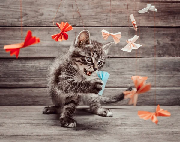 Kitten playing with paper bows — Stock Photo, Image