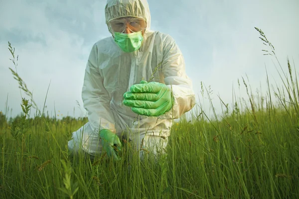 Scientist man examining plants — Stock Photo, Image