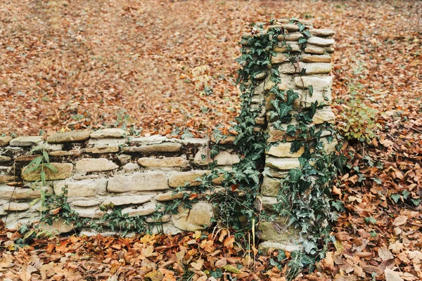 Old stone fence — Stock Photo, Image