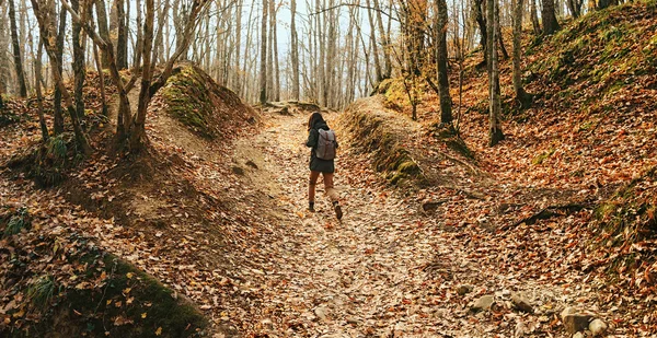 Wandelende vrouw in herfstbos — Stockfoto