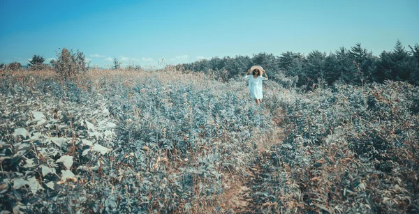 Mulher caminhando no parque de fadas do verão — Fotografia de Stock