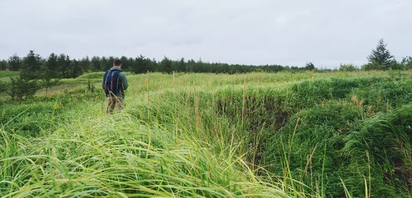 Hiker man walking among grass — Stock Photo, Image