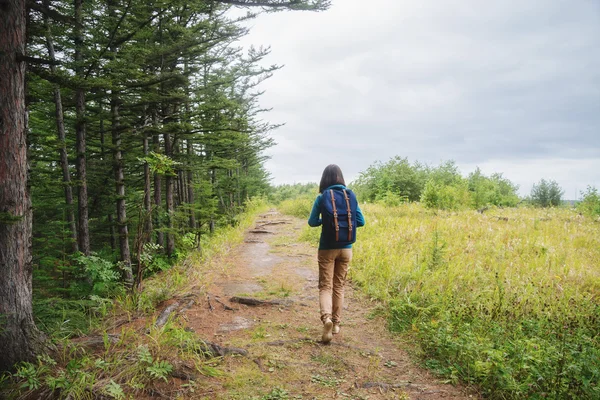 Девушка ходит по тропинке в летнем лесу — стоковое фото