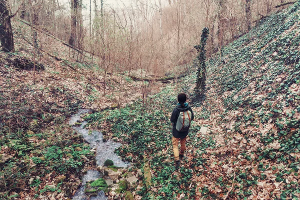 Caminhante caminhando na floresta de primavera — Fotografia de Stock