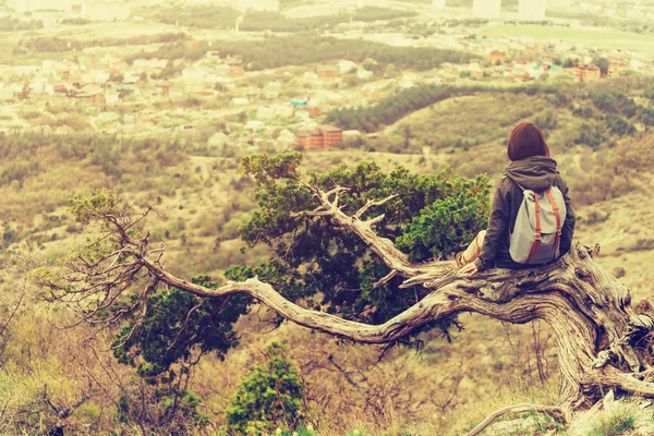 Viaggiatore donna seduta su vecchio albero — Foto Stock