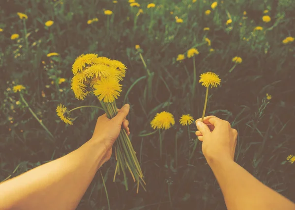 Kadın malzeme çekme dandelions çayır üzerinde — Stok fotoğraf