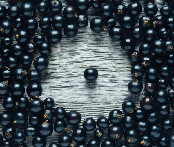 Schwarze Johannisbeeren — Stockfoto