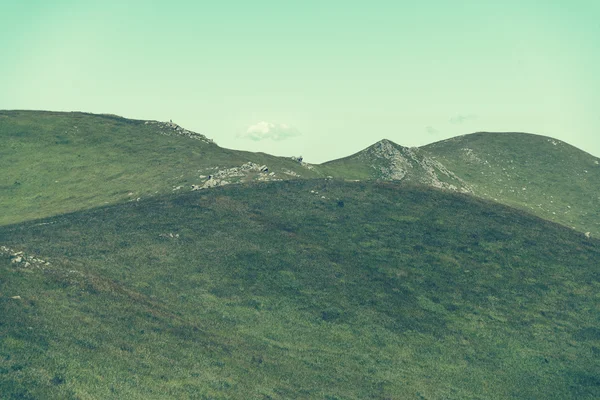 Yeşil Yaz dağlar — Stok fotoğraf