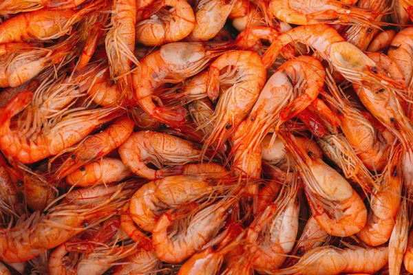 Boiled shrimp background — Stock Photo, Image