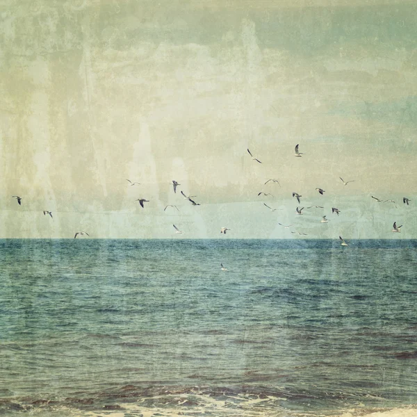 Las gaviotas vuelan sobre el océano — Foto de Stock