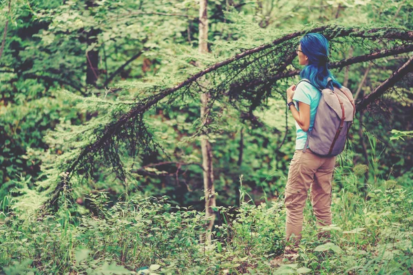 Walking in summer forest — Stock Photo, Image