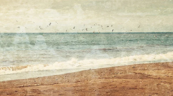 Las gaviotas vuelan sobre el mar — Foto de Stock