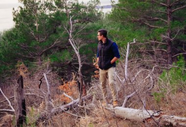 adam ağaç gövdesinde ayakta