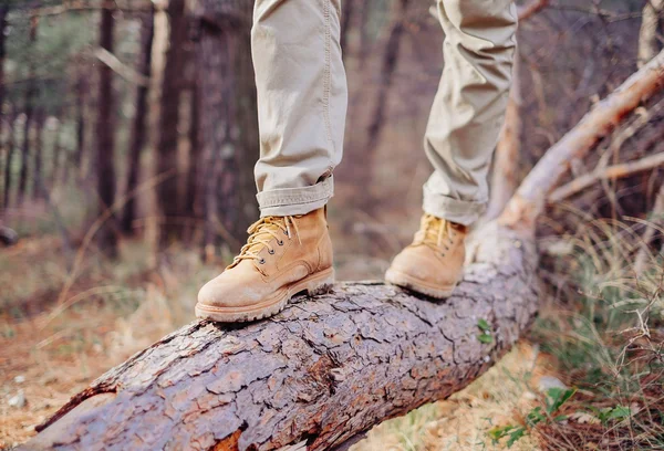 Wanderer läuft auf Baumstamm — Stockfoto